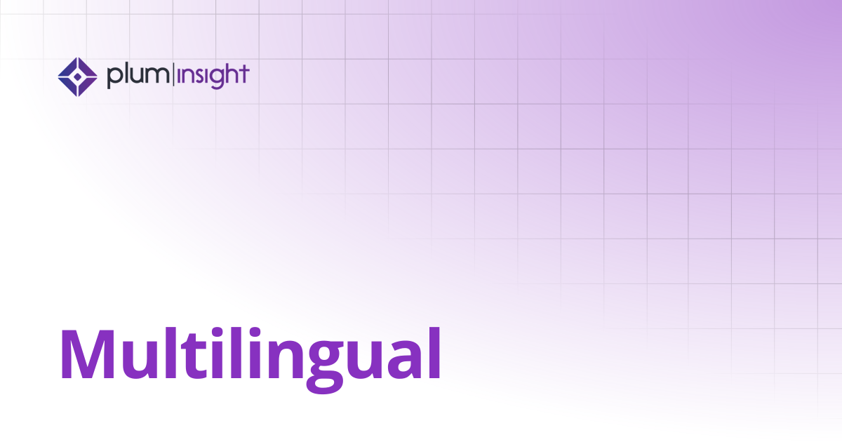 Multilingual | Plum Insight Documentation