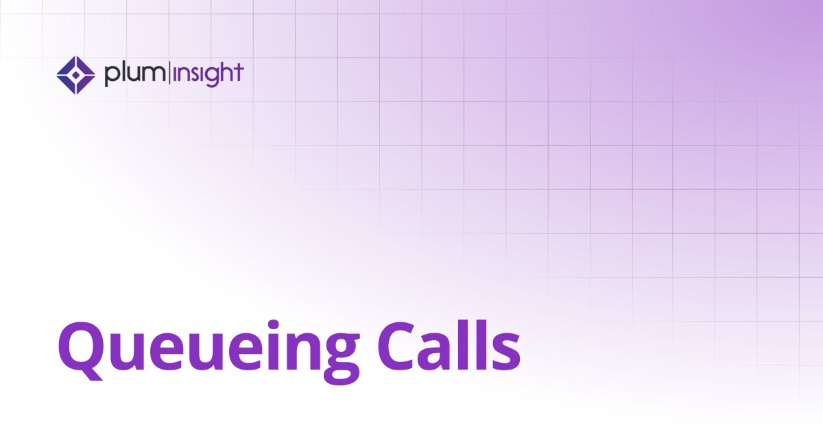 Queueing Calls | Plum Insight Documentation