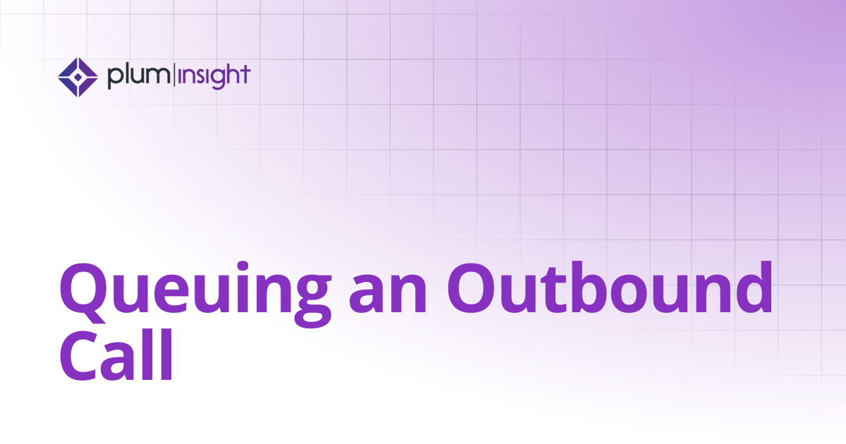 Queuing an Outbound Call | Plum Insight Documentation